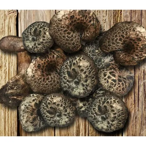 티벳농부 냉동 능이버섯 5kg, C급 5kg, 1개