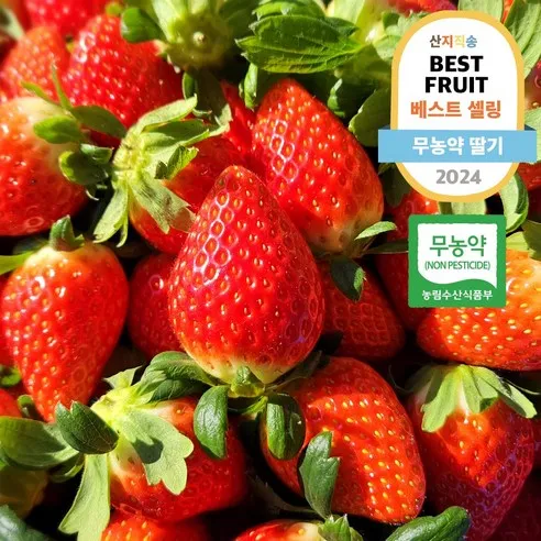 1%극상품 무농약 딸기 설향 금실 한정수량, 480g(설향), 1개